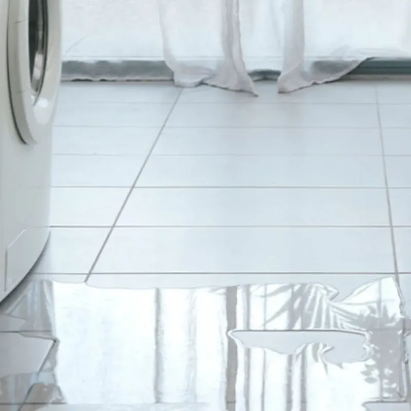 Appliance Leak Cleanup in Susanville, CA